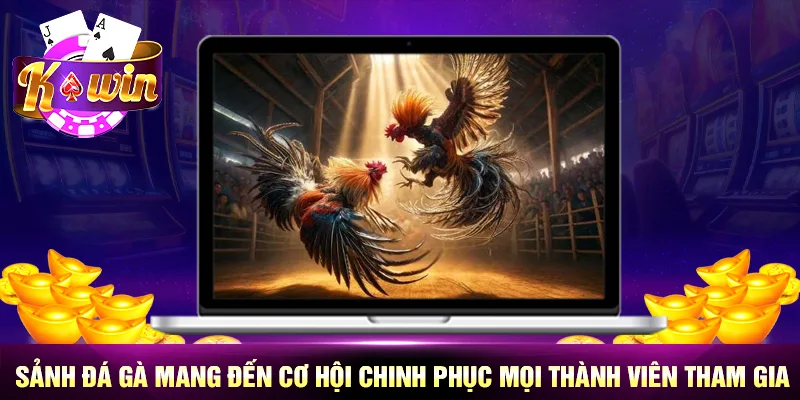 Sảnh đá gà mang đến cơ hội chinh phục mọi thành viên tham gia Sảnh đá gà mang đến cơ hội chinh phục mọi thành viên tham gia